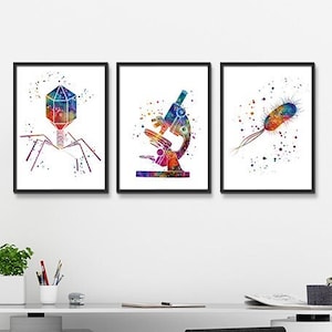 May include: Three watercolor illustrations in black frames, depicting a bacteriophage, a microscope, and a bacterium. The illustrations are displayed on a white wall above a white desk with a black office chair.