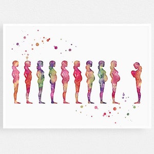 Hebammen Geschenk | Schwangerschaft Stadien Aquarell Druck