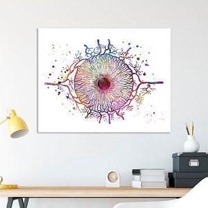 Iris Eye Anatomy Watercolor Print Optometry Ophthalmology Art Doctor office Decor