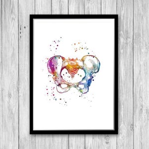 Impresión en acuarela de anatomía de la pelvis femenina, decoración para clínica de cirugía reconstructiva, arte mural para consultorio de obstetricia y ginecología.