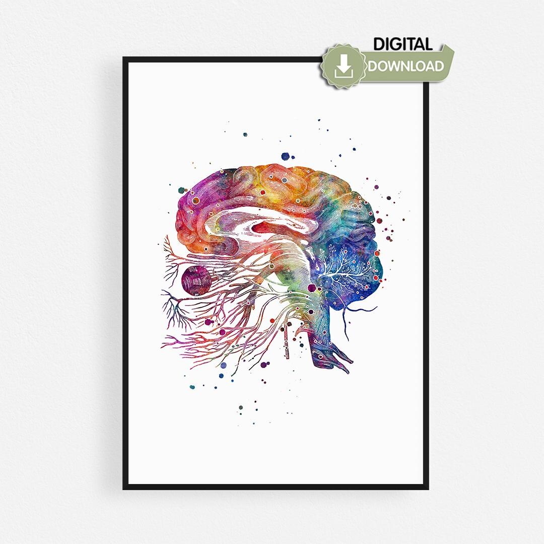 Cranial Nerves Watercolor Printable, Brain Anatomy Poster, Neurology ...