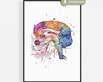 Nervi cranici acquerello stampabile, poster di anatomia del cervello, regalo di neurologia, download digitale istantaneo
