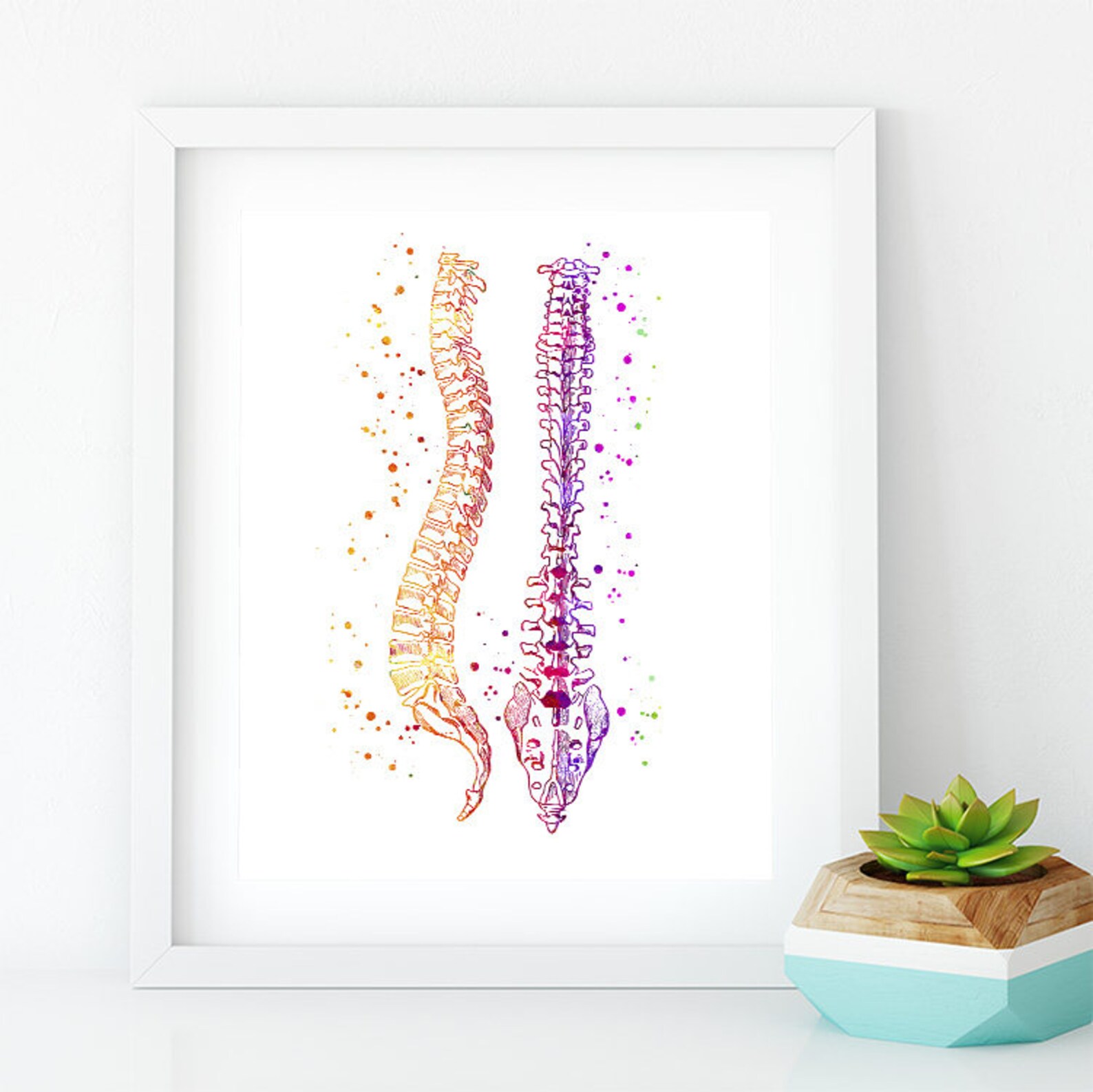 Spinal Column Human Spine Anatomy Art Watercolor Print | Etsy