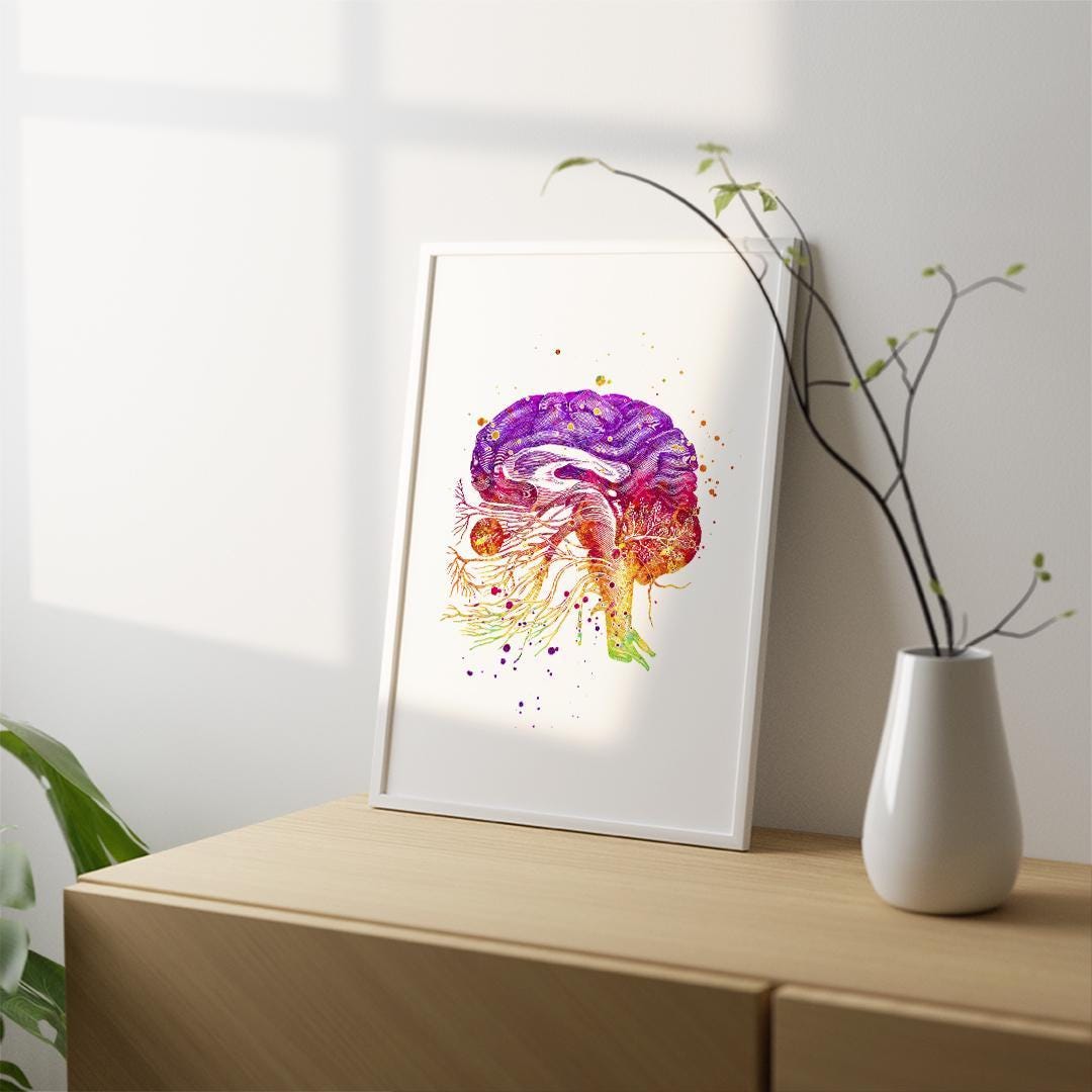 Human Brain Anatomy Art Print, Cranial Nerves Watercolor Poster, Doctor ...
