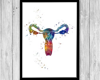 Uterus Anatomy Art Watercolor Print Female reproductive system Doctor gynecologist Office Decor Midwife Obgyn gift