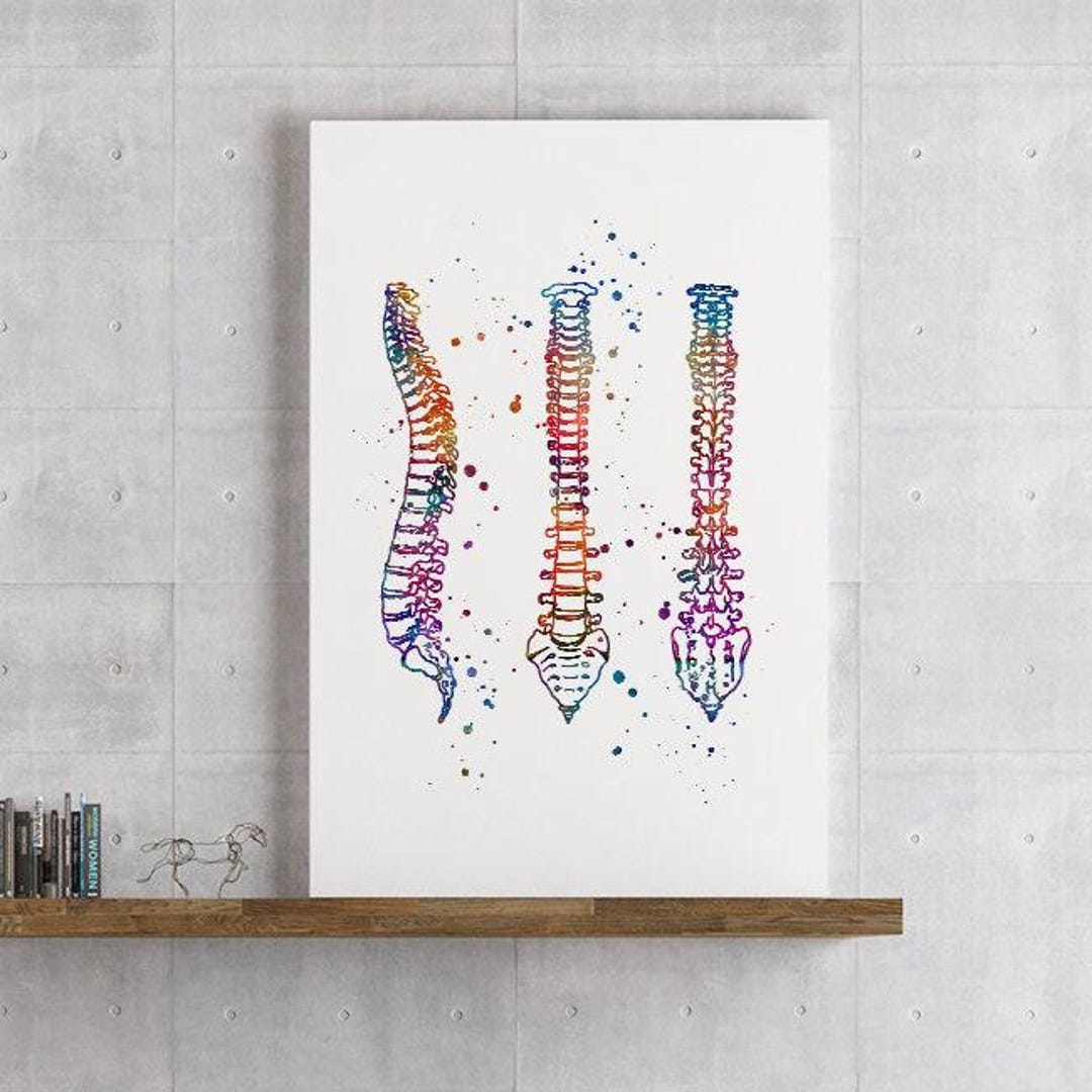 Human Spine Watercolor Print Anatomy Art Medical Poster Doctor Office ...