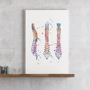Human Spine Watercolor Print Anatomy Art Medical Poster Doctor Office Decor Spinal Column