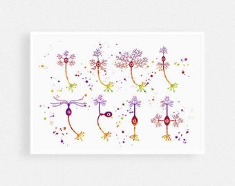 Neuroscience Art, Neurons Types Watercolor Art Print, Neurologist Office Wall Decor, Neurology Clinic Interior, Vibrant Unframed Artwork