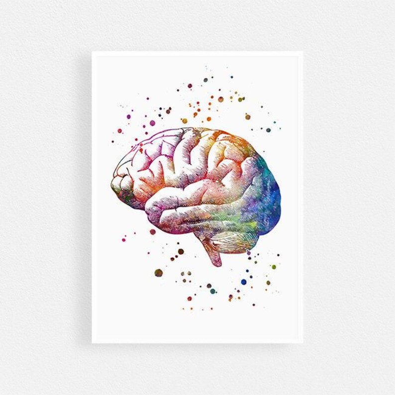 Brain Anatomy Art Print | Medical Office Decor | Human Anatomy ...