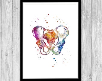 Male Pelvis Chiropractic clinic Wall Art, Watercolor Print Doctor Orthopedic Office Decor, Physical therapist gift, Anatomy artwork