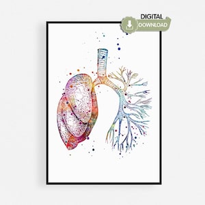 May include: Watercolor illustration of human lungs, showcasing the respiratory system. The artwork features vibrant colors, including red, orange, yellow, blue, and purple, with a digital download icon in the upper right corner.