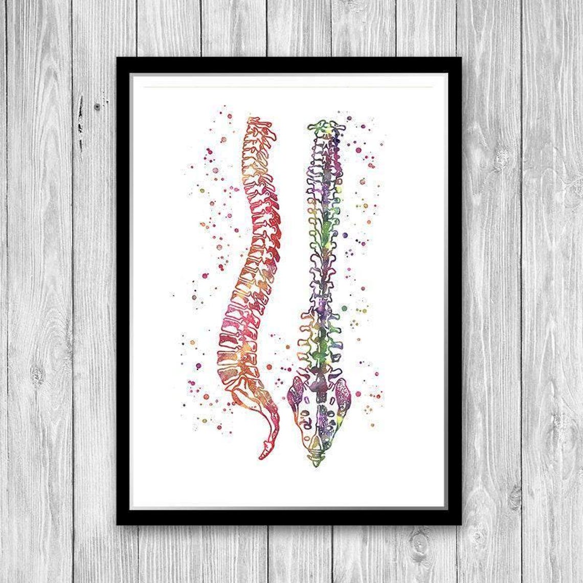 Human Anatomy Art Watercolor Spine Skeleton Vertebral Bones ...
