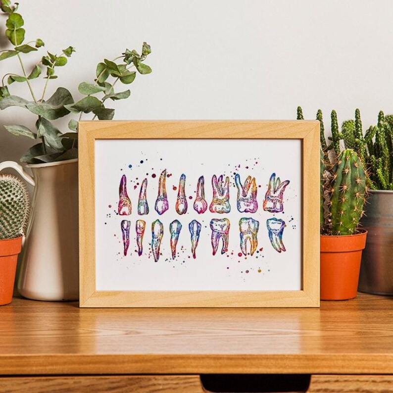 Colorful Watercolor Teeth Chart Print, Dentist Office Wall Art, Dental School Anatomy Poster image 8