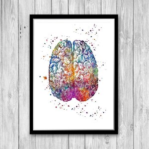 Anatomy Art DEALS Set of Prints Human Heart Brain Lungs Watercolor Wall Art for Doctor Office Decor Medical art image 5