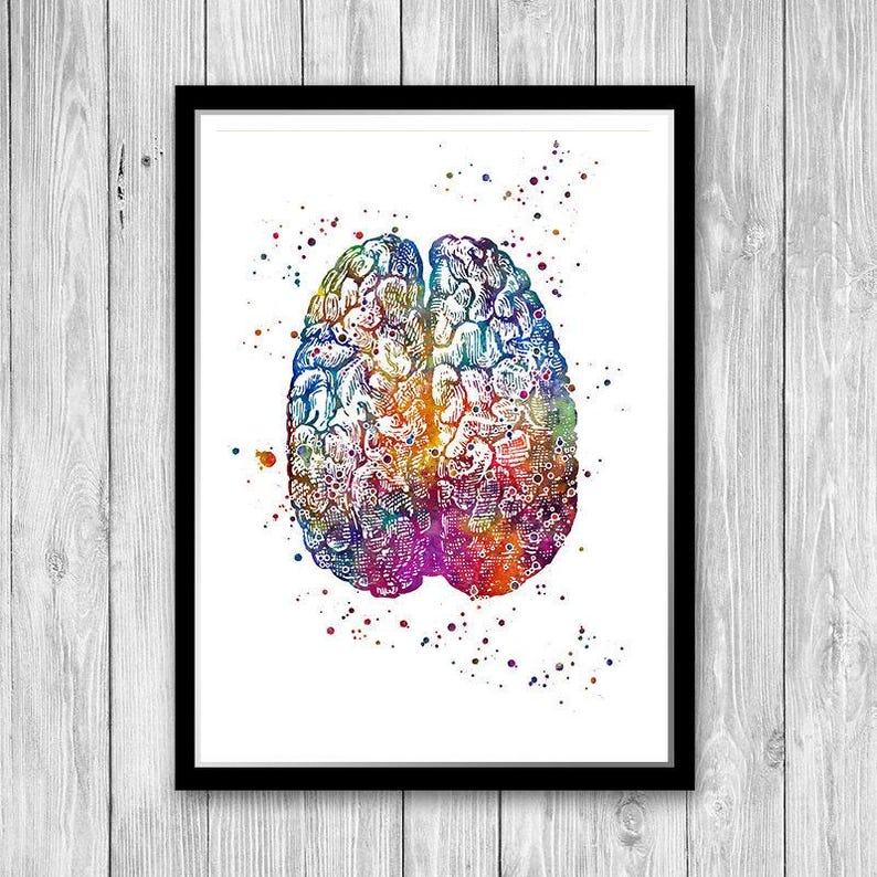 Anatomy Art DEALS Set of Prints Human Heart Brain Lungs Watercolor Wall Art for Doctor Office Decor Medical art image 5