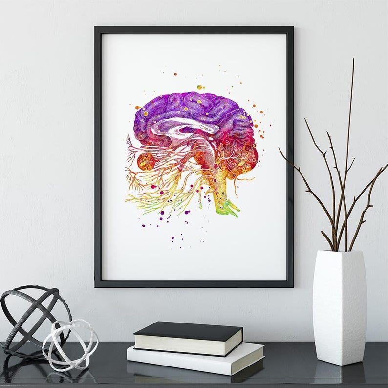 Human Brain Anatomy Art Print, Cranial Nerves Watercolor Poster, Doctor ...