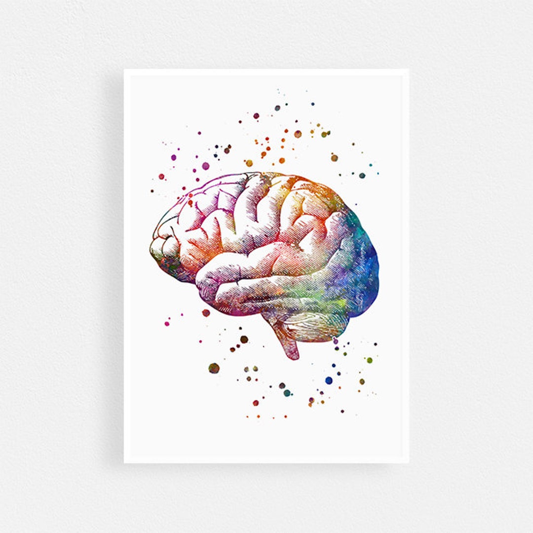 Brain Anatomy Poster Human Anatomy Watercolor Print Neurobiology Art ...