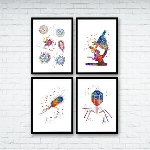 Wetenschapsdecor microbiologie kunst set van 4 aquarelafdrukken muurkunst voor klaslokaal, kinderkamer, afstudeercadeau