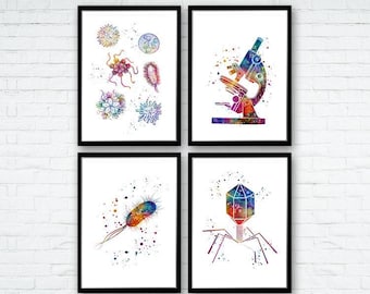 Anatomy Art, Science Art