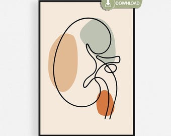 Kidney Printable, One Line Kidney Art, Boho Anatomy Decor, Nephrology Gift, Medical Office, Instant Download