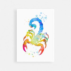 Scorpion art print, Insect watercolor poster, Wall Art for home decor, Scorpio Zodiac Print, Astrology art