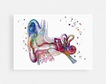 Audiology Art Audiologist Gift Human Ear Anatomy Watercolor Print Doctor ENT Office Decor