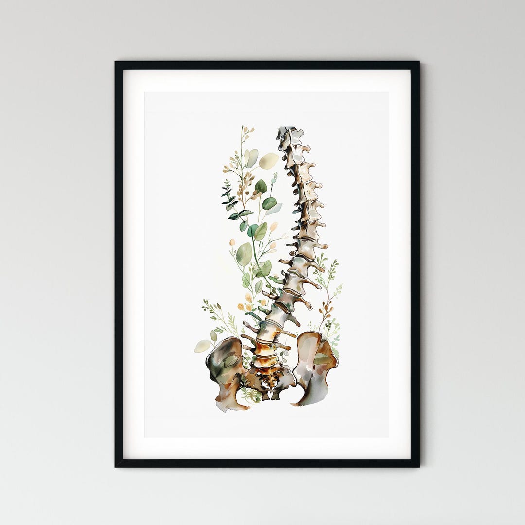 Spine Wall Art Botanical Human Spine Print for Chiropractic Office ...