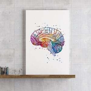 Neuroanatomy Art Print | Brain Anatomy Cross Section | Watercolor ...