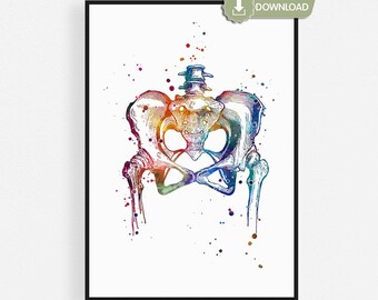 Watercolor Pelvis Anatomy Printable, Hip Bone Medical Poster, Physical Therapy Office Decor