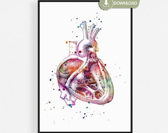 May include: Watercolor illustration of a human heart, showcasing internal anatomy. The artwork features a cross-section of the heart with vibrant colors and detailed rendering. The image is framed in a black border and labeled "DIGITAL DOWNLOAD".