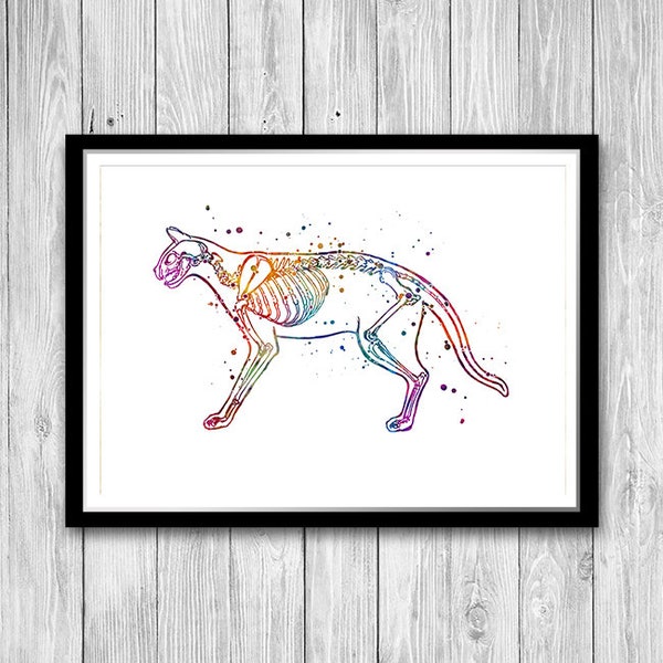 Animal Anatomy Etsy