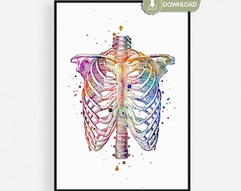 Rib Cage Printable Anatomy Art, Thorax Watercolor Poster, Medical Student Gift, Instant Download