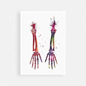 Human Hands Skeletal System Watercolor Print - Anatomy Art for Orthopedic Surgeon Office Decor