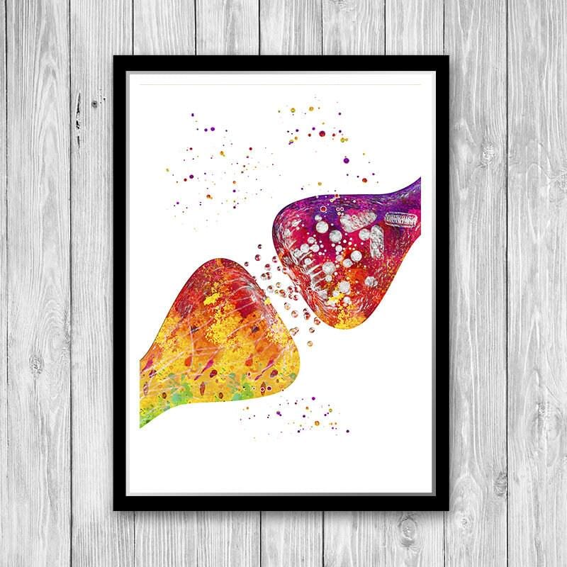 Neurotransmitter Neuronal Receptors Synapses Watercolor Print Neuroscience Art Neurology Poster Science Art Print
