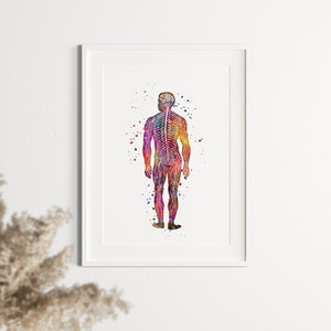 Nervous System Art Poster, Human Body Anatomy Watercolor Print ...