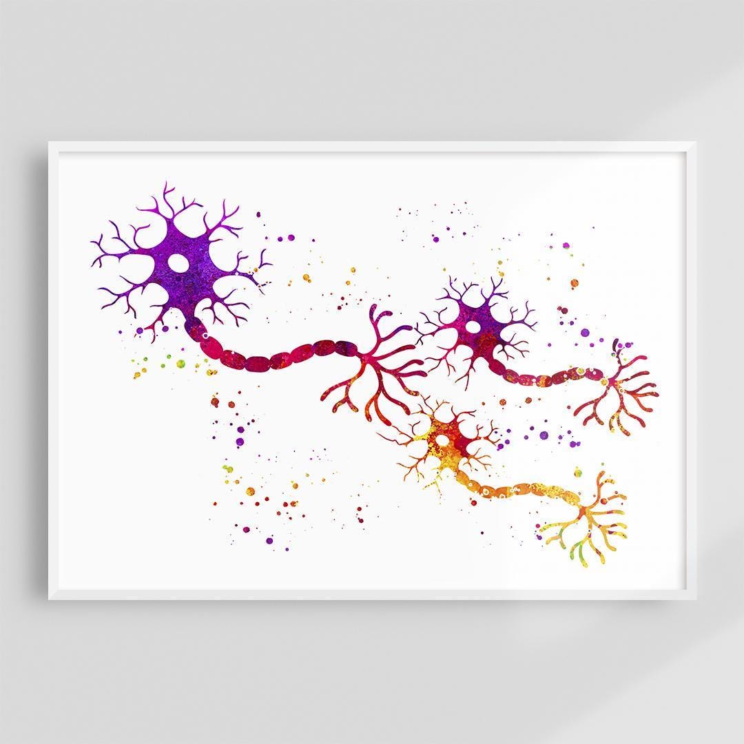 Neuroscience Art Print, Brain Nerve Impulse Watercolor Artwork, Science ...