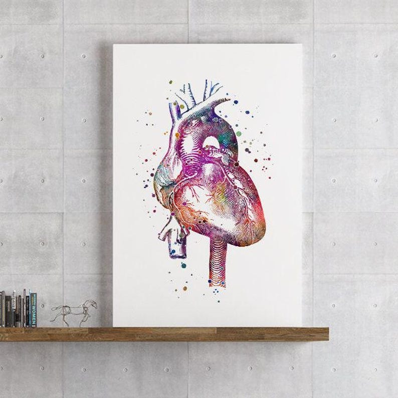 Anatomical Heart Watercolor Print Anatomy Art Doctor Office Decor ...