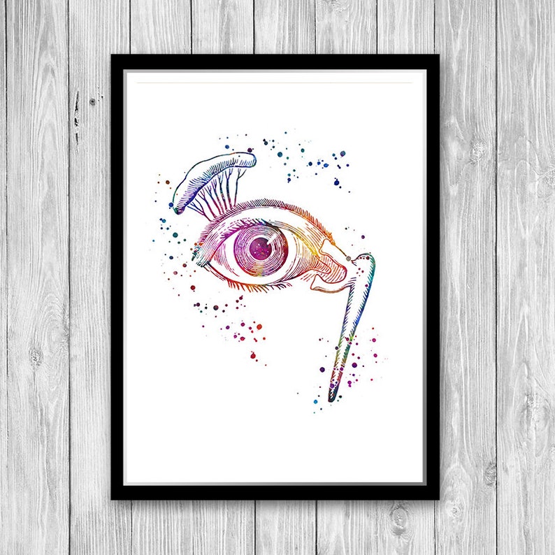 Ophthalmology Art Eye Anatomy Watercolor Print Ophthalmologist Etsy
