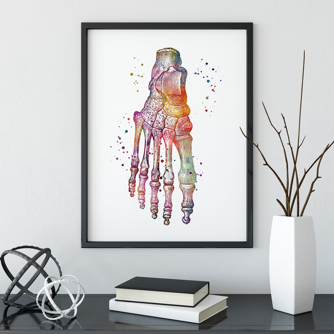 Foot Anatomy Print, Colorful Watercolor Artwork for Doctor Orthopedic ...