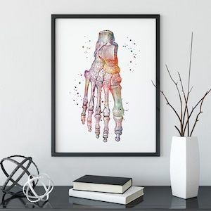 Voet anatomie print, kleurrijk aquarel kunstwerk voor arts orthopedisch kantoor decor, voeten botten medische poster, podologie kliniek decoratie