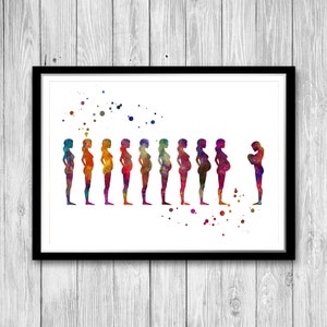 Obstetricia y Ginecología Arte Embarazo Etapas Acuarela Impresión Partería Pared Arte Regalo para Partera
