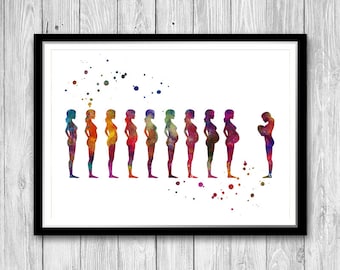 Obstetrics and Gynecology Art Pregnancy stages Watercolor Print Midwifery Wall Art Gift for Midwife