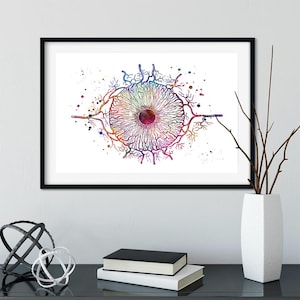 Oogheelkunde Art Print, irisoog anatomie kleurrijke aquarel artwork, optometrie kunst aan de muur, arts oogarts kantoordecor, iriscopie