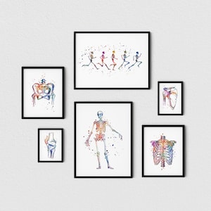 Sportmedizin-Chirurgie Drucke, Anatomie des Skelettsystems des Menschen 6er Set Aquarell Poster, Anatomisch für die Orthopädische Chirurg Praxis