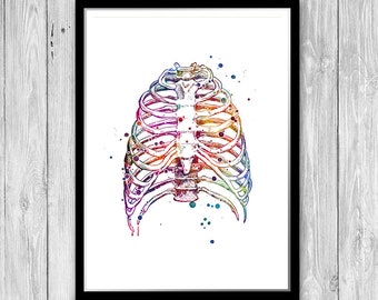 Impression aquarelle du thorax, art de l'anatomie de la poitrine humaine, décoration de bureau de médecin, affiche médicale cage thoracique, décoration de clinique scolaire