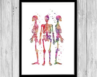 Human Skeleton Watercolor Print Anatomy Art Doctor Orthopedic office decor, Med School Wall Art