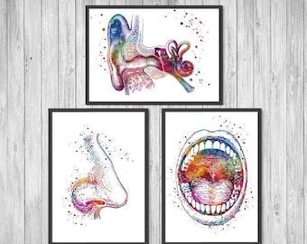 Ear Nose and Throat Watercolor Print set of 3 ENT Doctor Office Decor, Human Anatomy Art, otolaryngology