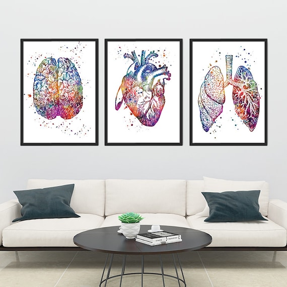 School Nurse Office Decor Anatomy Art Set Of 3 Watercolor Etsy