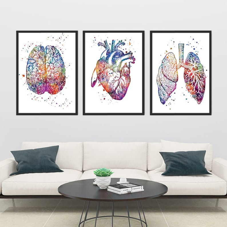 School Nurse Office Decor Anatomy Art Set Of 3 Watercolor Etsy