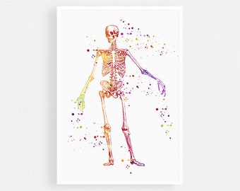 Human Skeleton Anatomy Art Doctor Birthday Gift Art Print, Medical School Graduation Present, Human skull and bones Watercolor Art Print